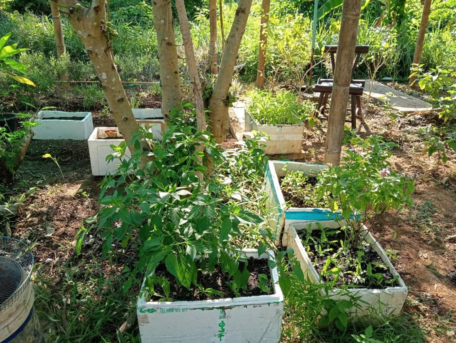 The River Retreat 코막 외부 사진